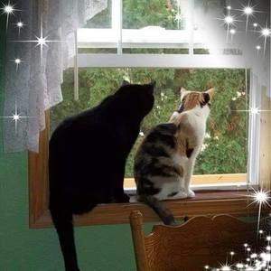 Meet your Posher, Janet